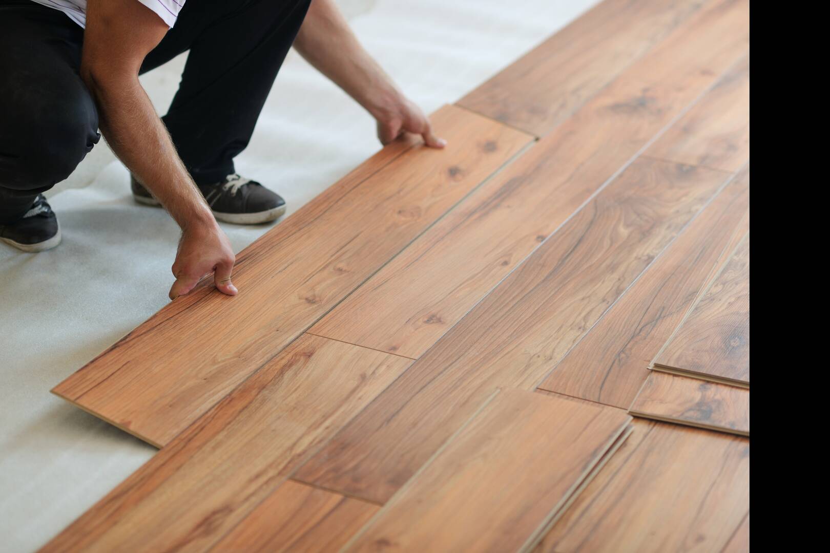 Floor Coverings International of Northshore NOLA logo