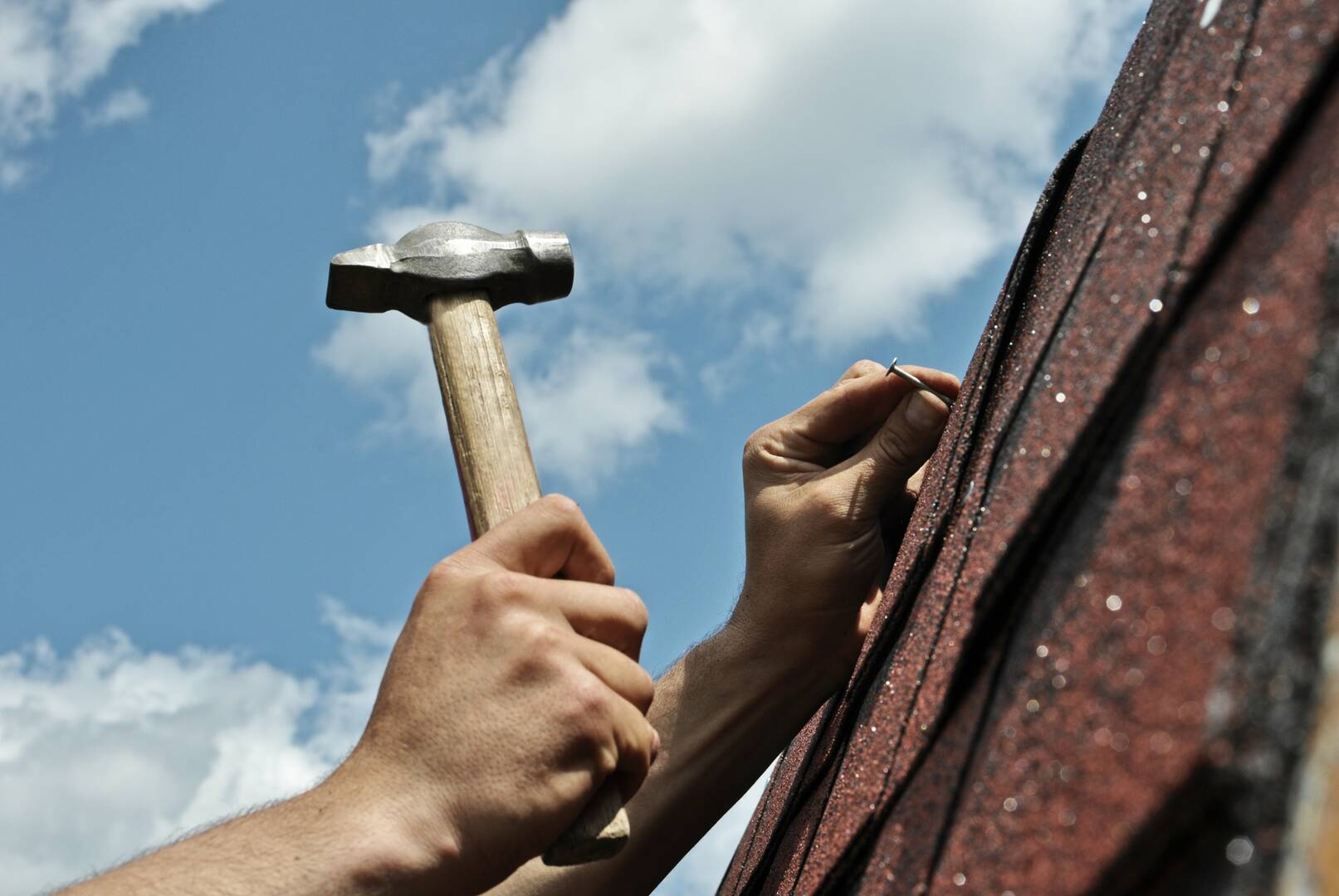 Martin's Quality Painting logo