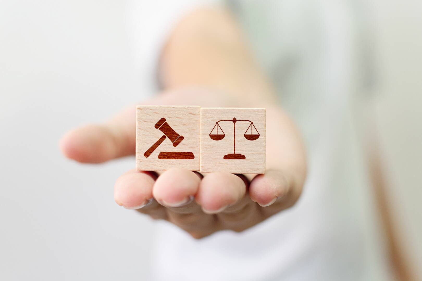 Law Office Of Anna L. Burr logo