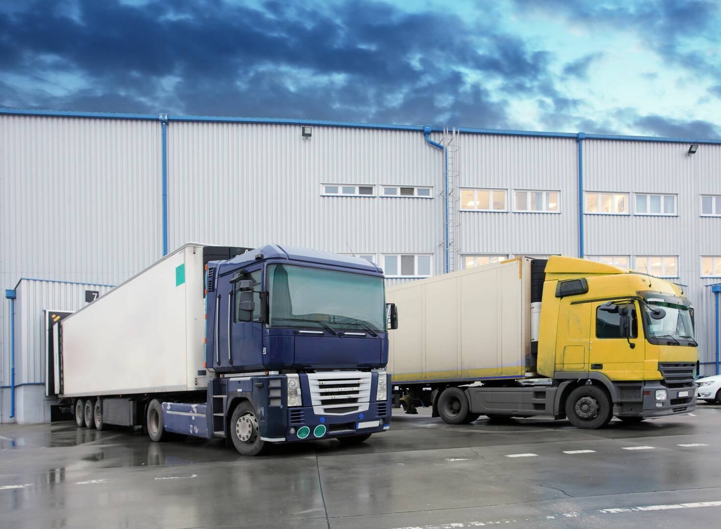 Elite Moving & Storage Inc logo