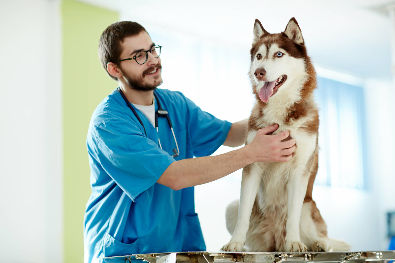 Pooch Perks logo