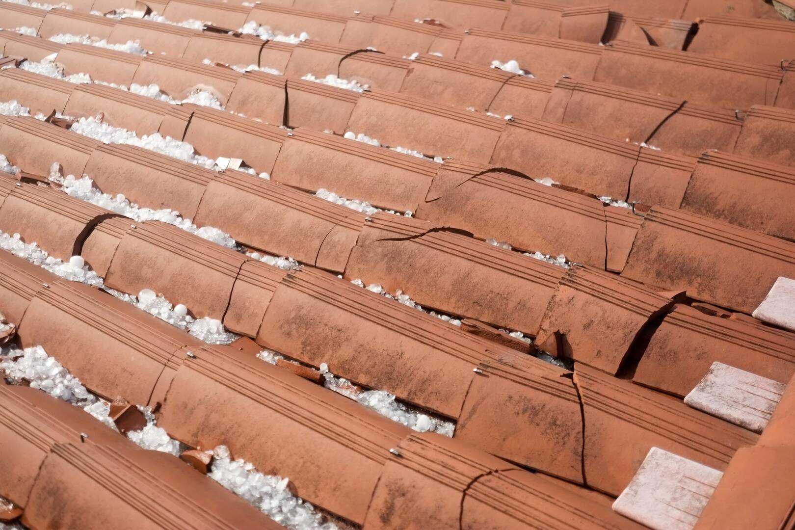Palm & Pineapple Roofing and Exteriors logo